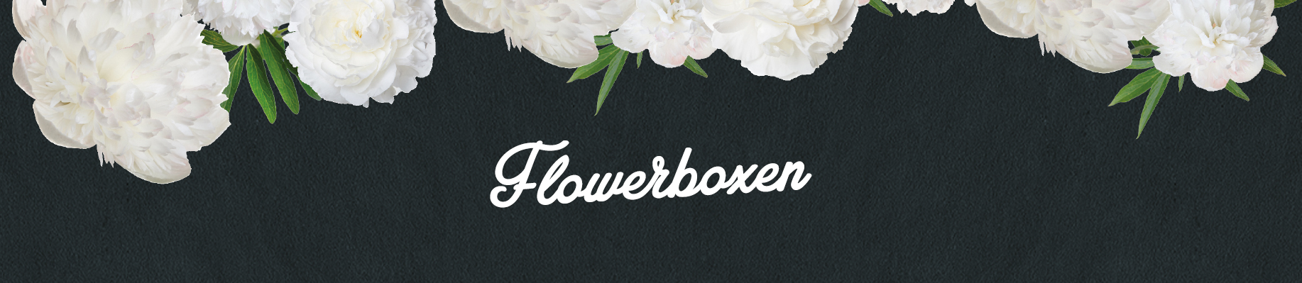 Zauberküche Flowerboxen. Einfach bestellen!