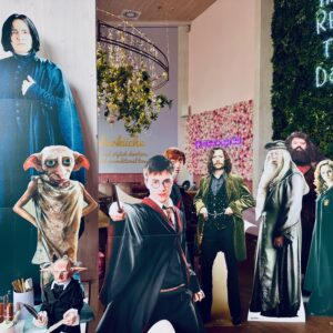 Harry Potter-Brunch 16.05.2026