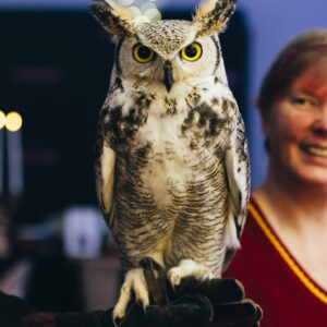 Harry Potter-Brunch 11.07.2026